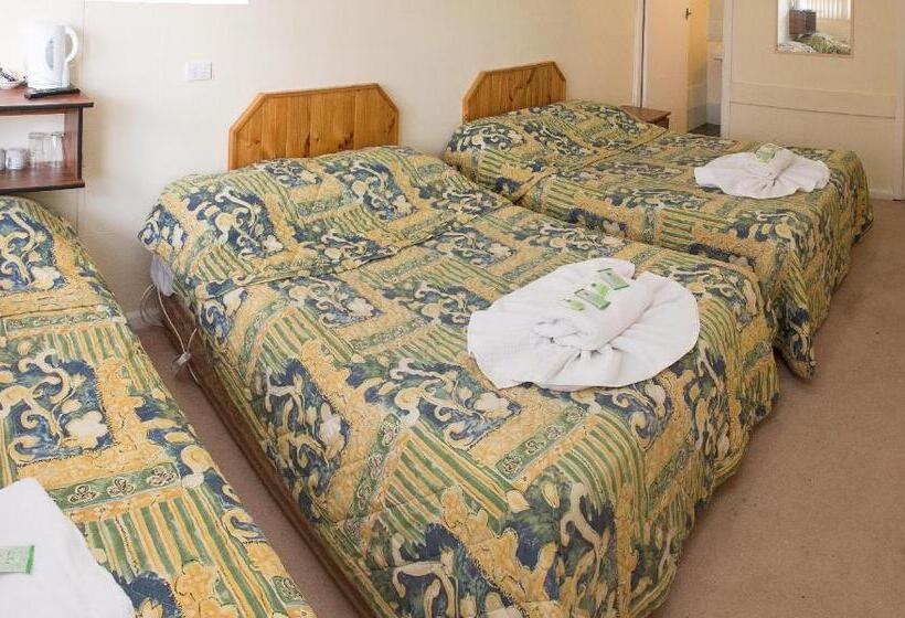 اتاق خانوادگی, The Swiss Motel