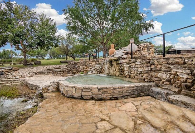 스탠다드 룸, Lantana Lodge