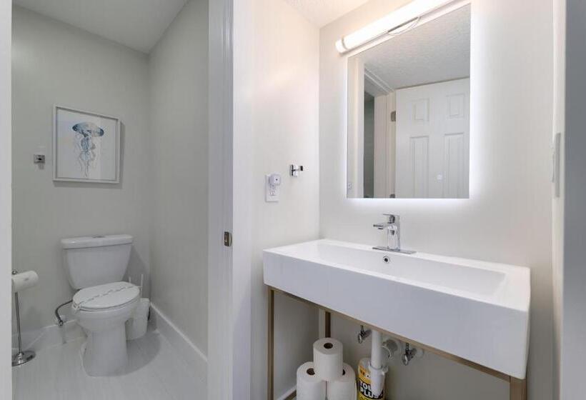 غرفة قياسية, 11 North Jacksonville Beach