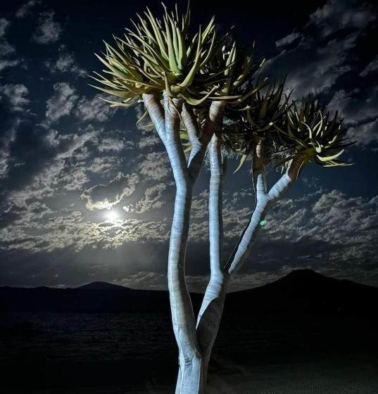 اتاق خانوادگی, Bremen Guestfarm