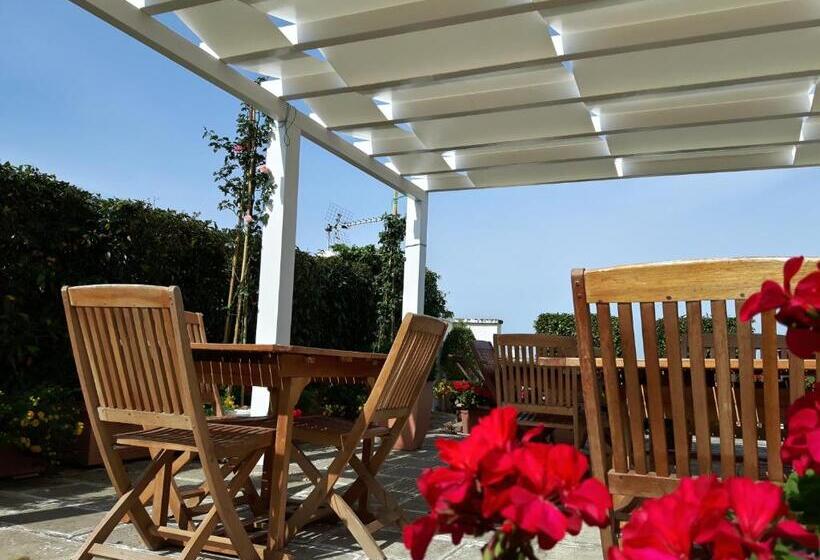 スタンダードスタジオ, B&b Corte Regina Esther