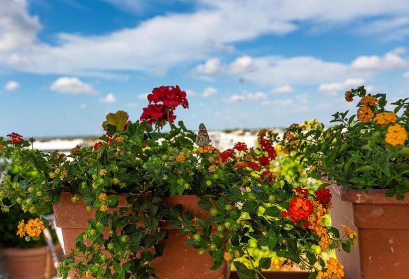 スタンダードルーム, B&b Corte Regina Esther