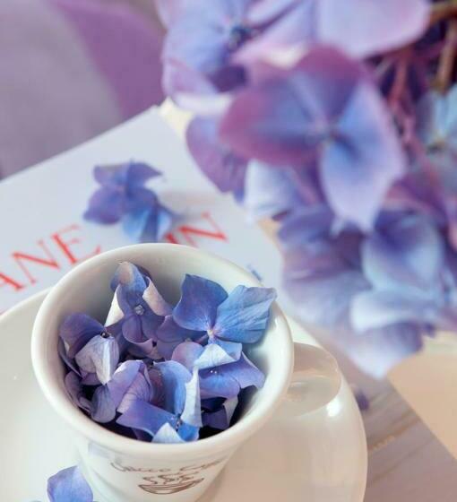 غرفة قياسية, Le Betulle