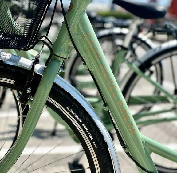 غرفة قياسية, Park Hotel Pineta