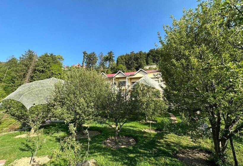 اتاق لوکس, Aquaforest Luxury Cottages