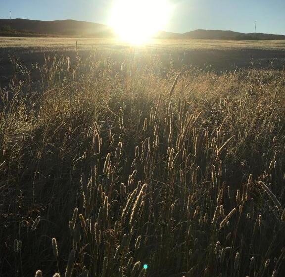 חדר סטנדרט נוף לים, Ytri árbakki