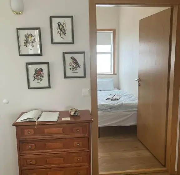 اتاق استاندارد با چشمانداز باغ, Ytri árbakki