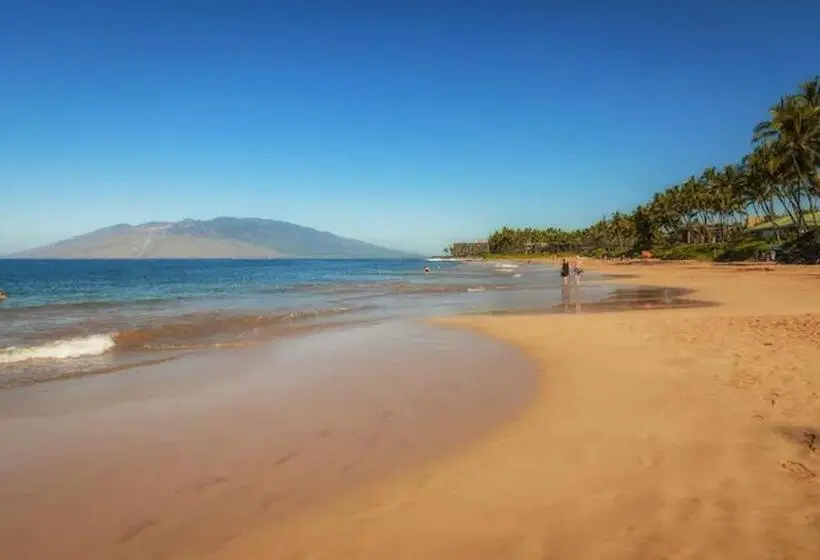 １ベッドルームのデラックスアパートメント, Newly Renovated Condo! 3 Min Walk To Toes In The Sand!