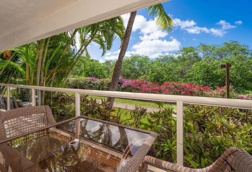 דירת חדר דלוקס, Newly Renovated Condo! 3 Min Walk To Toes In The Sand!