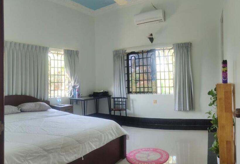 اتاق استاندارد, Bd International