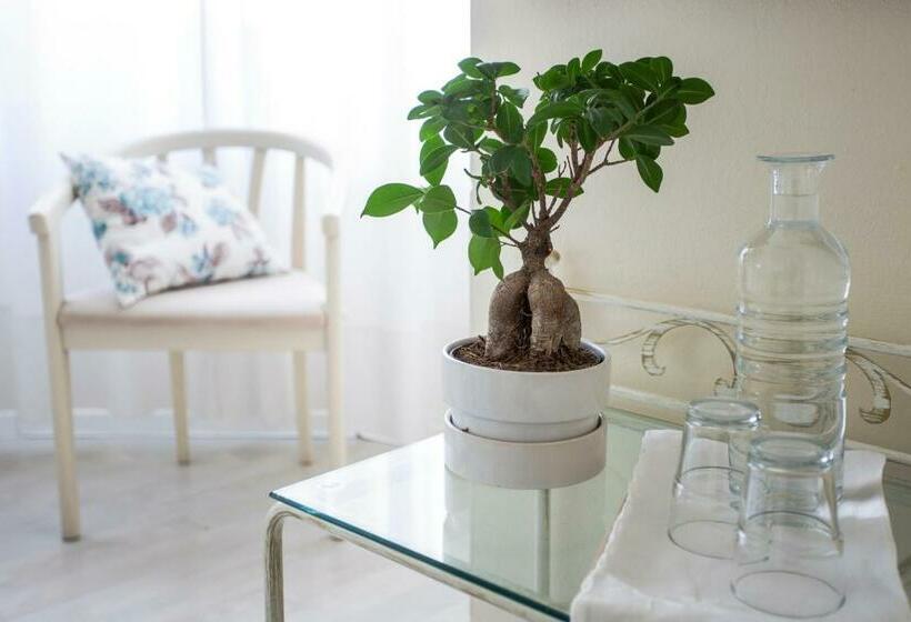 スタンダードルーム, Antiche Mura