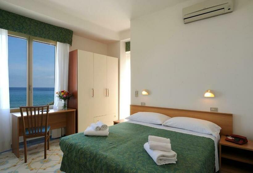 スタンダードルーム, Delfino