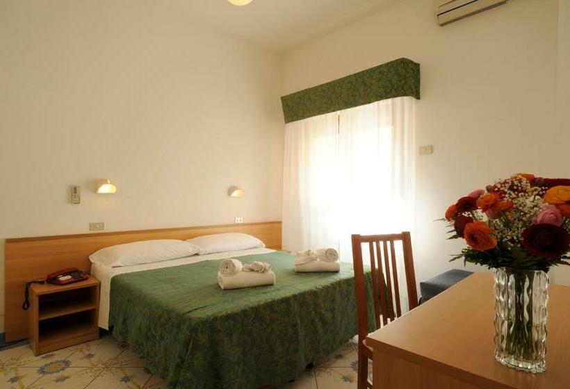 スタンダードルーム, Delfino