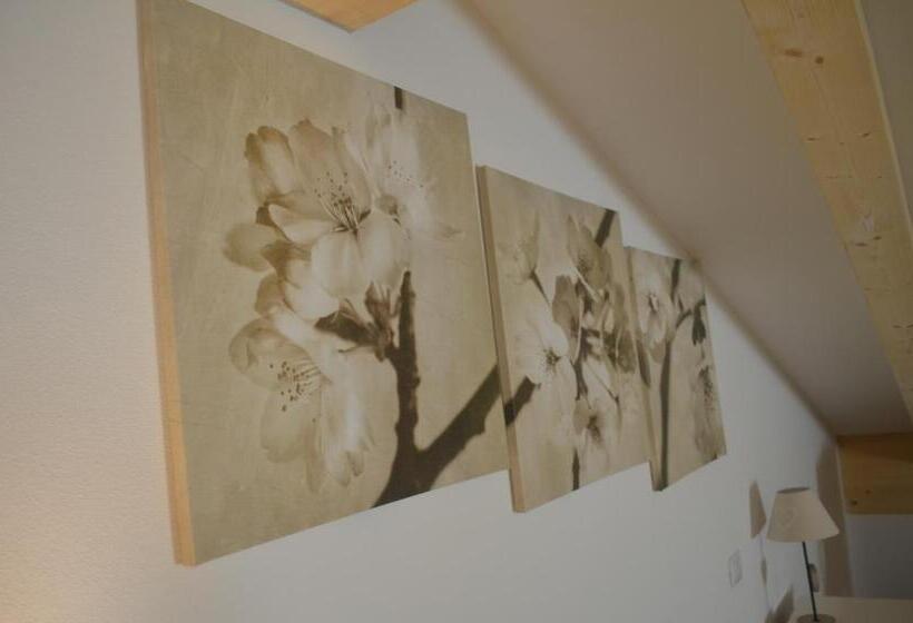 اتاق استاندارد چهار تخته, Rivamia