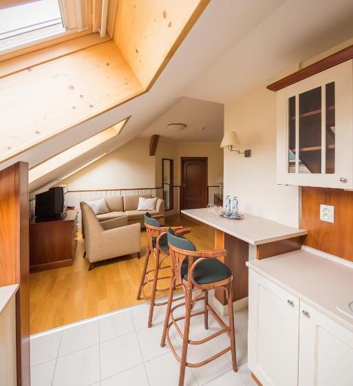 דירת חדר, Torysa