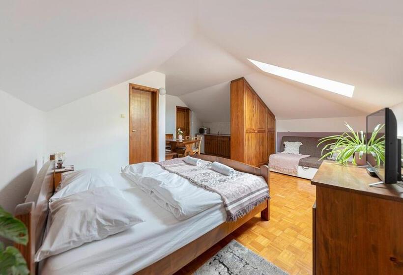 استودیوی استاندارد, Bed And Breakfast Mili Vrh