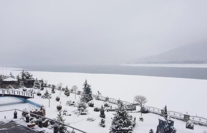 اتاق خانوادگی, Rey