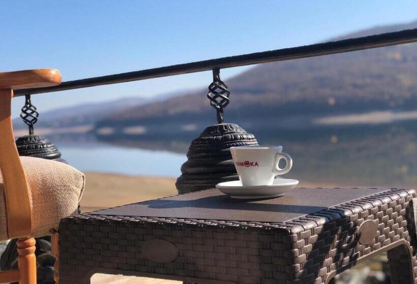 اتاق خانوادگی, Rey