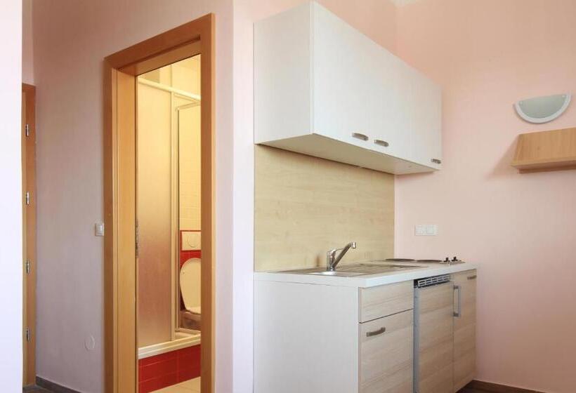 استودیوی استاندارد, S