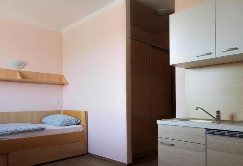 استودیوی استاندارد, S