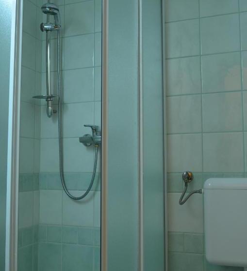 اتاق استاندارد, Zarja