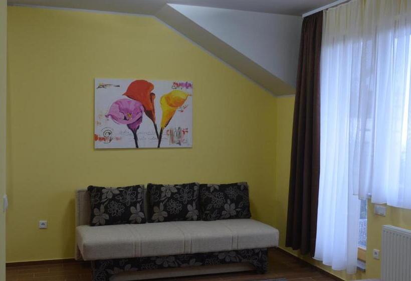 سوئیت کلاسیک, Zarja