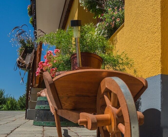 استودیوی استاندارد, Panorama B&b