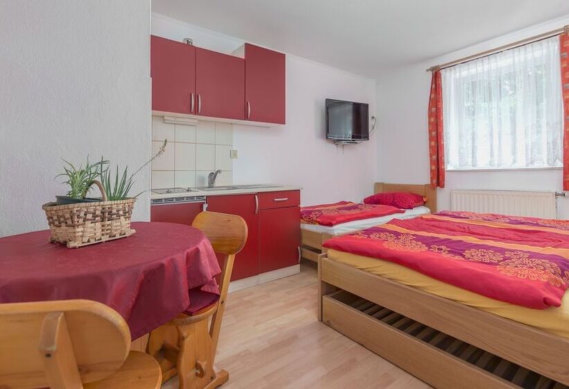 استودیوی استاندارد, Panorama B&b