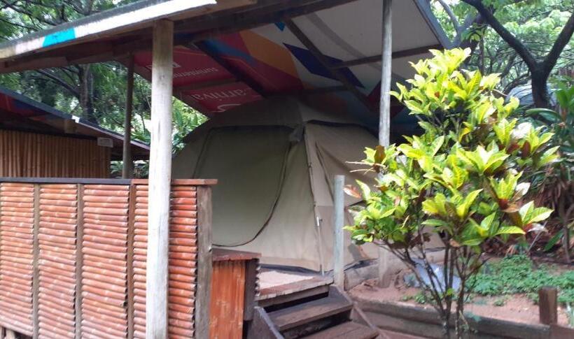 Standard Tent, Hazyview Adventure Backpackers