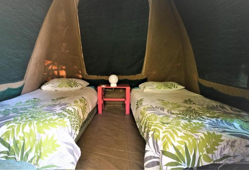 Standard Tent, Hazyview Adventure Backpackers
