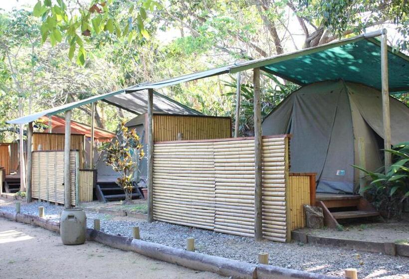 Standard Tent, Hazyview Adventure Backpackers