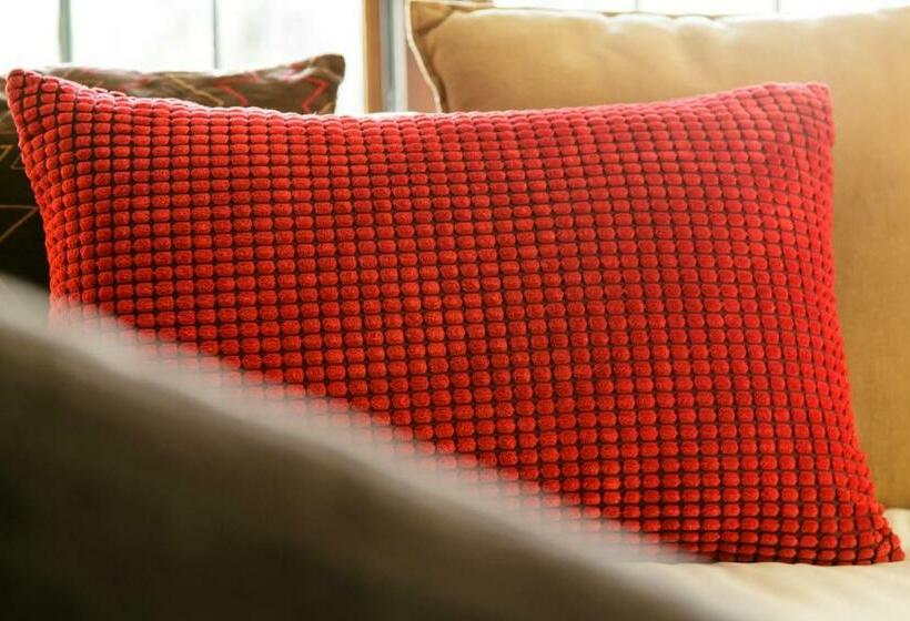 اتاق لوکس با چشمانداز باغ, Karoo Soul