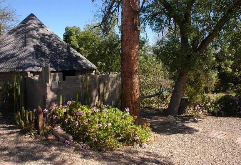 Standard-huone Terassi, Karoo Soul
