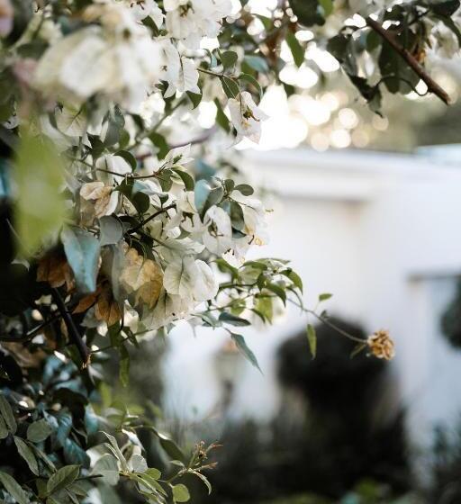 Вилла Deluxe 1 Спальня, Devereux Lodge