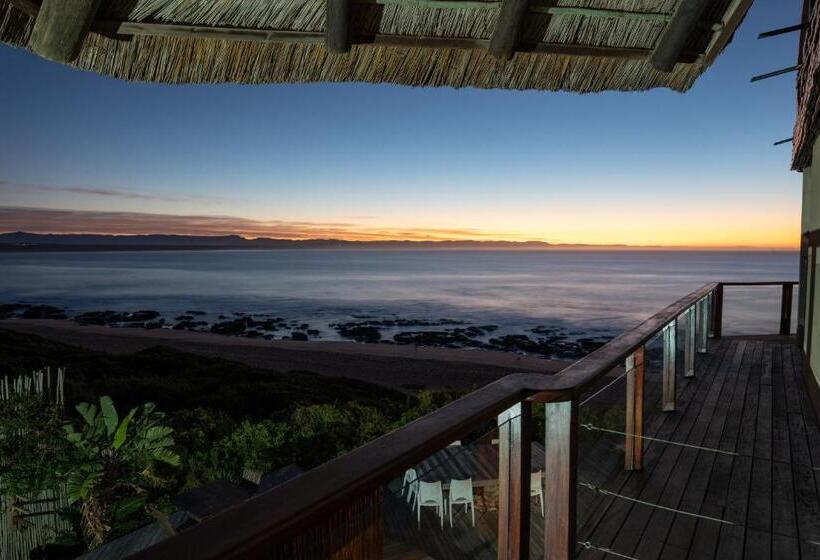 Deluxe Room, Dolphin Sunrise