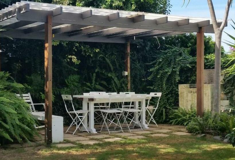 חדר סטנדרט, The Terrace