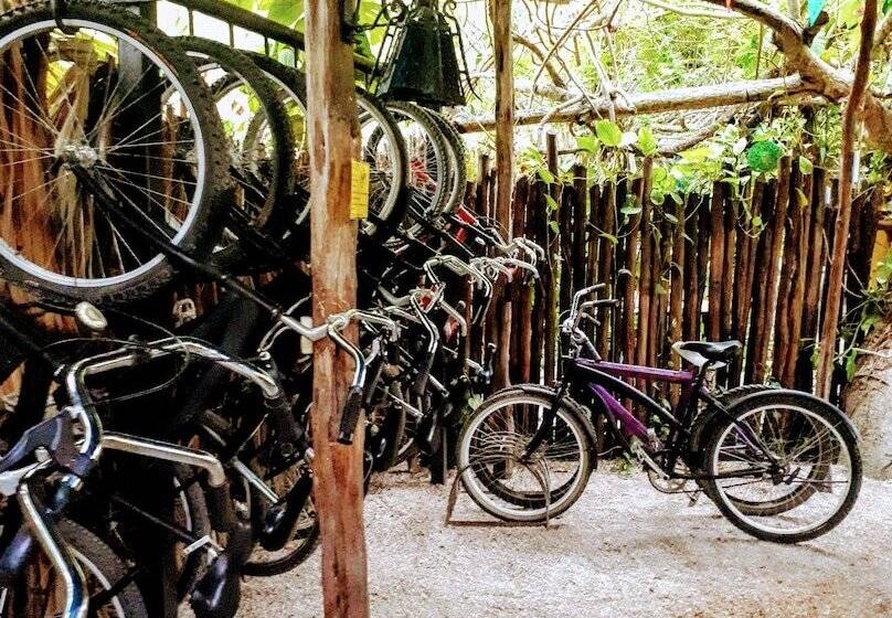 חדר סטנדרט חדר אמבטיה משותף, Hostel Candelaria