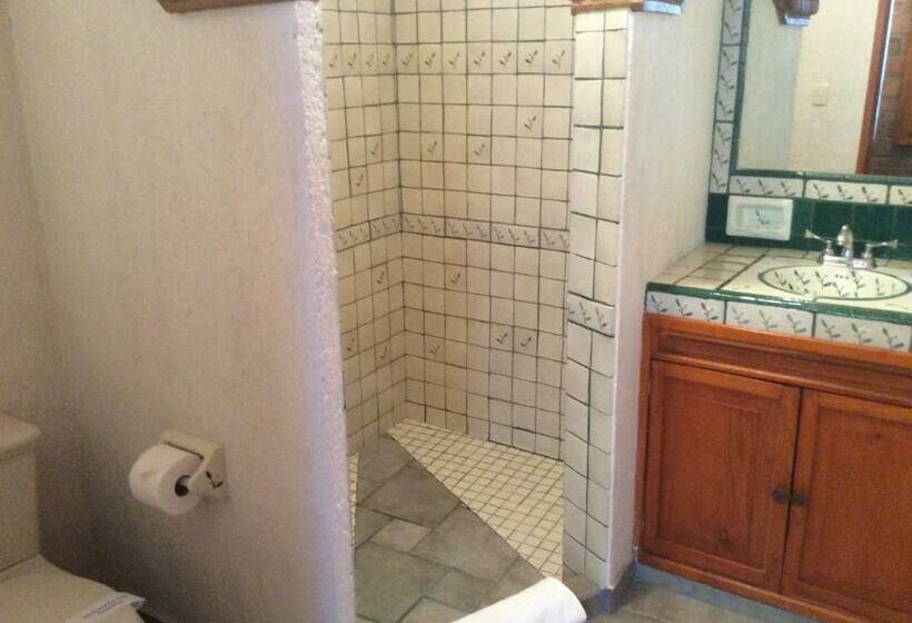 اتاق استاندارد, Antiguo Vapor Categoría Especial