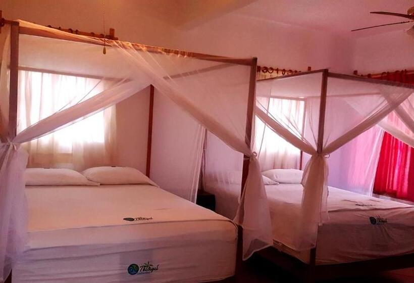 חדר סטנדרט לארבעה, Cabañas Telayú