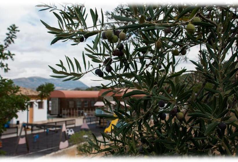 Номер Стандарт, Restaurante Estación Vía Verde