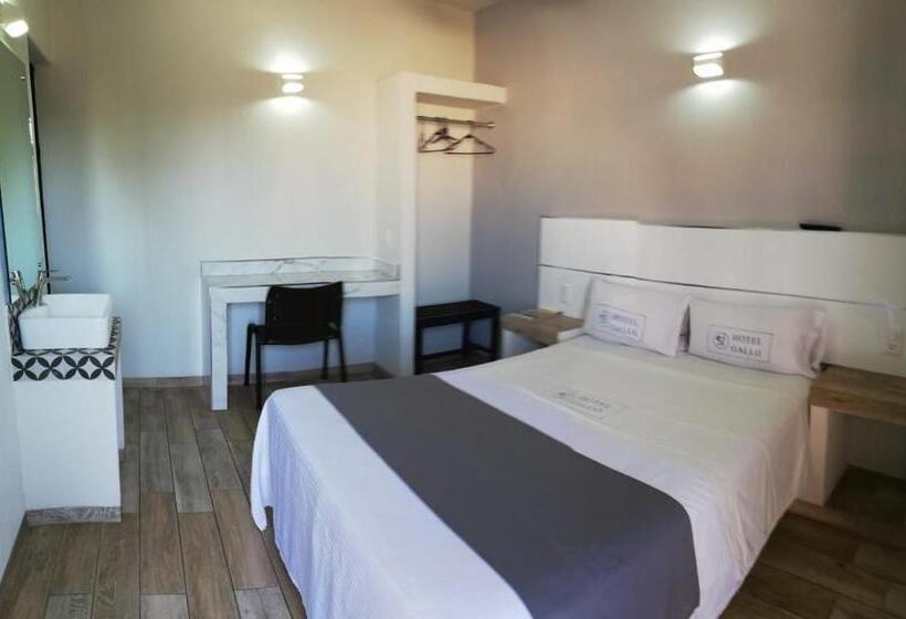 Номер Стандарт, Gallo