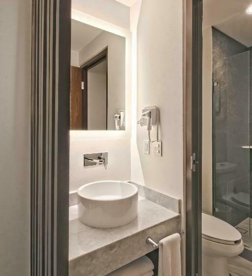 اتاق سوپریور با تخت بزرگ, Gamma Orizaba Grand Hotel De France