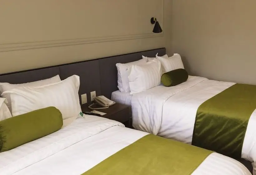 Superior-huone, Gamma Orizaba Grand Hotel De France