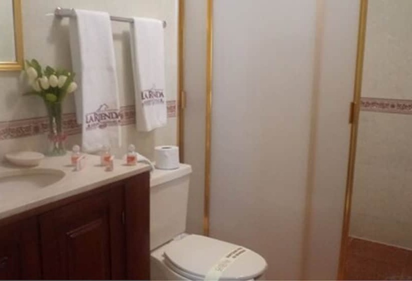 스탠다드 룸, La Rienda Mision Tequillan