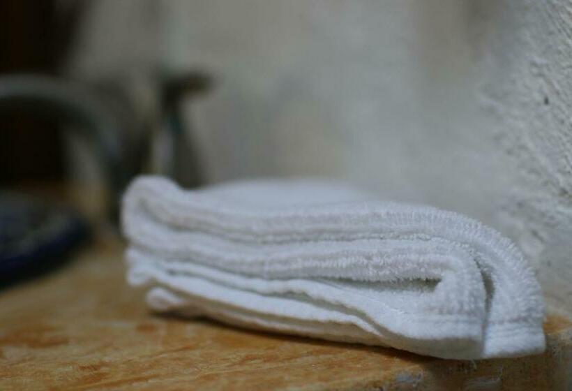 带大床的标准间, Posada La Presa