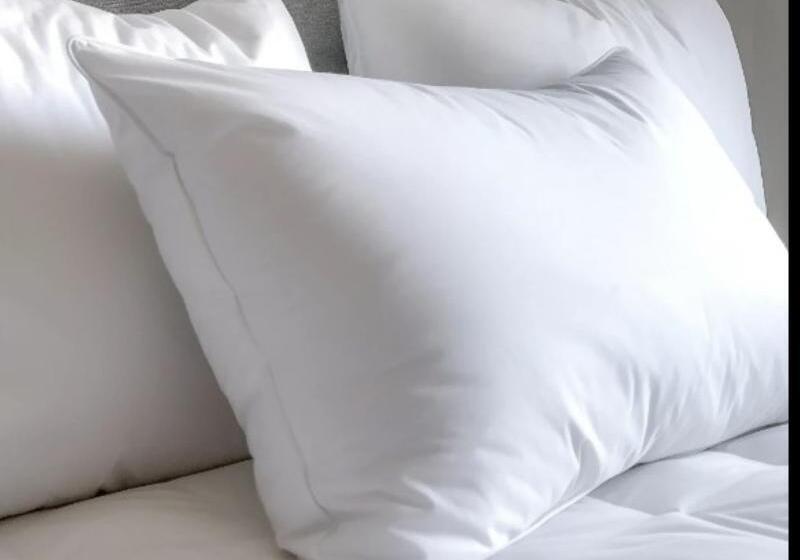 Standard Room King Size Bed