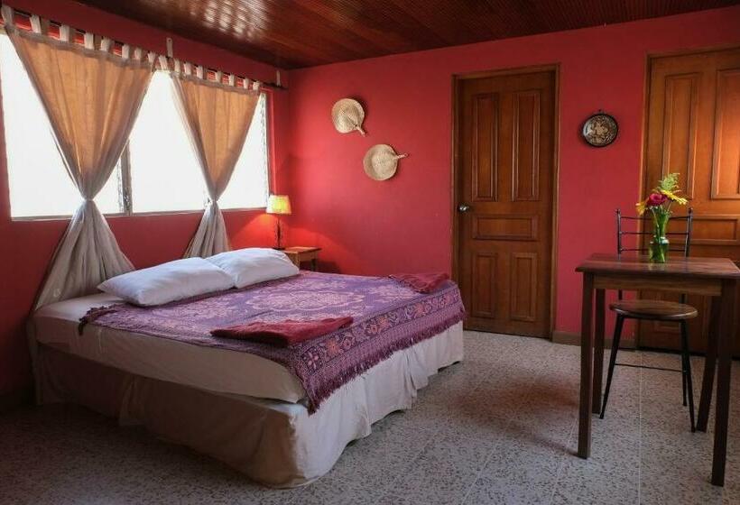 اتاق استاندارد, Hostal La Buena Onda