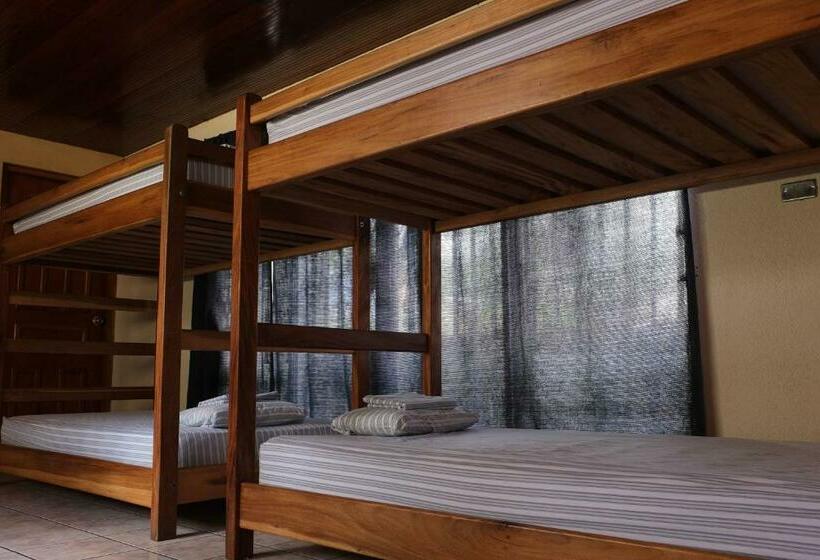 تختخواب در اتاق مشترک, Hostal La Buena Onda