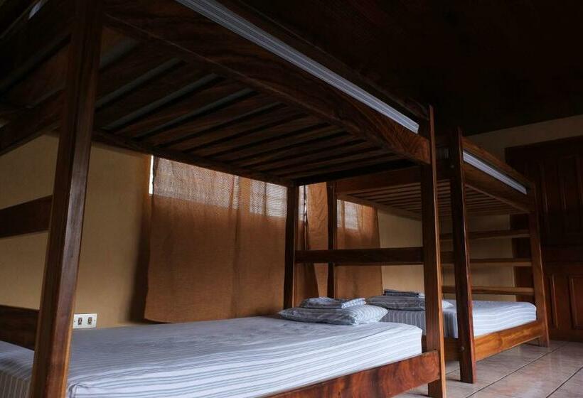 تختخواب در اتاق مشترک, Hostal La Buena Onda