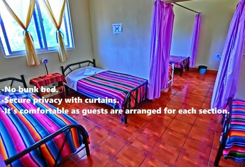 تختخواب در اتاق مشترک, El Sol